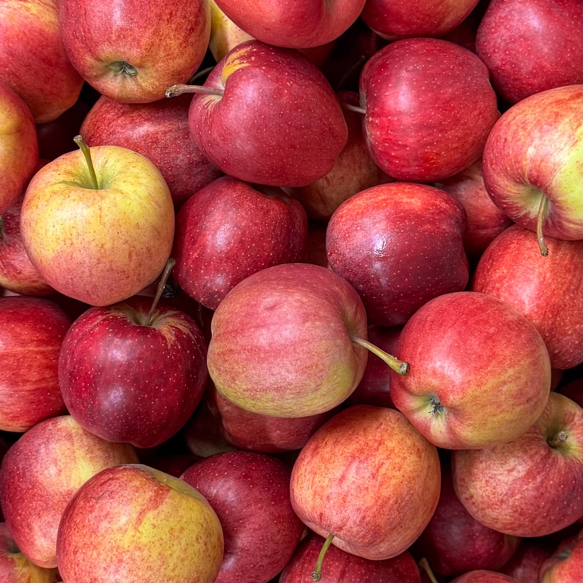 Früchte