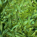 Kefen
