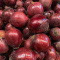Zwiebel rot