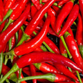 Chili