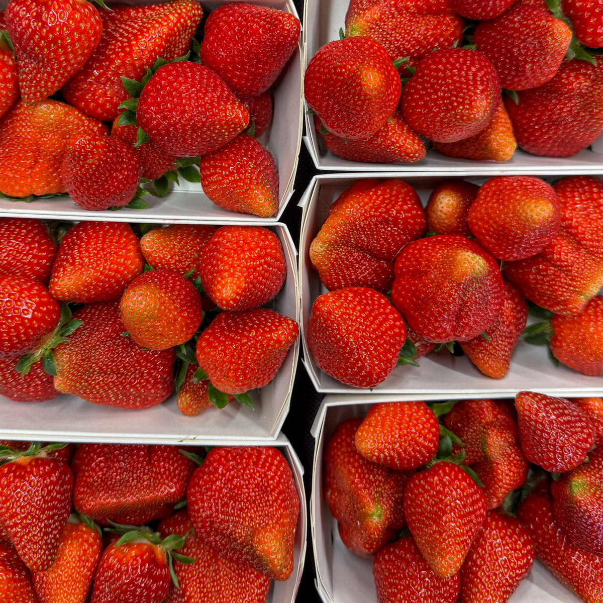 Erdbeeren