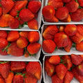 Erdbeeren
