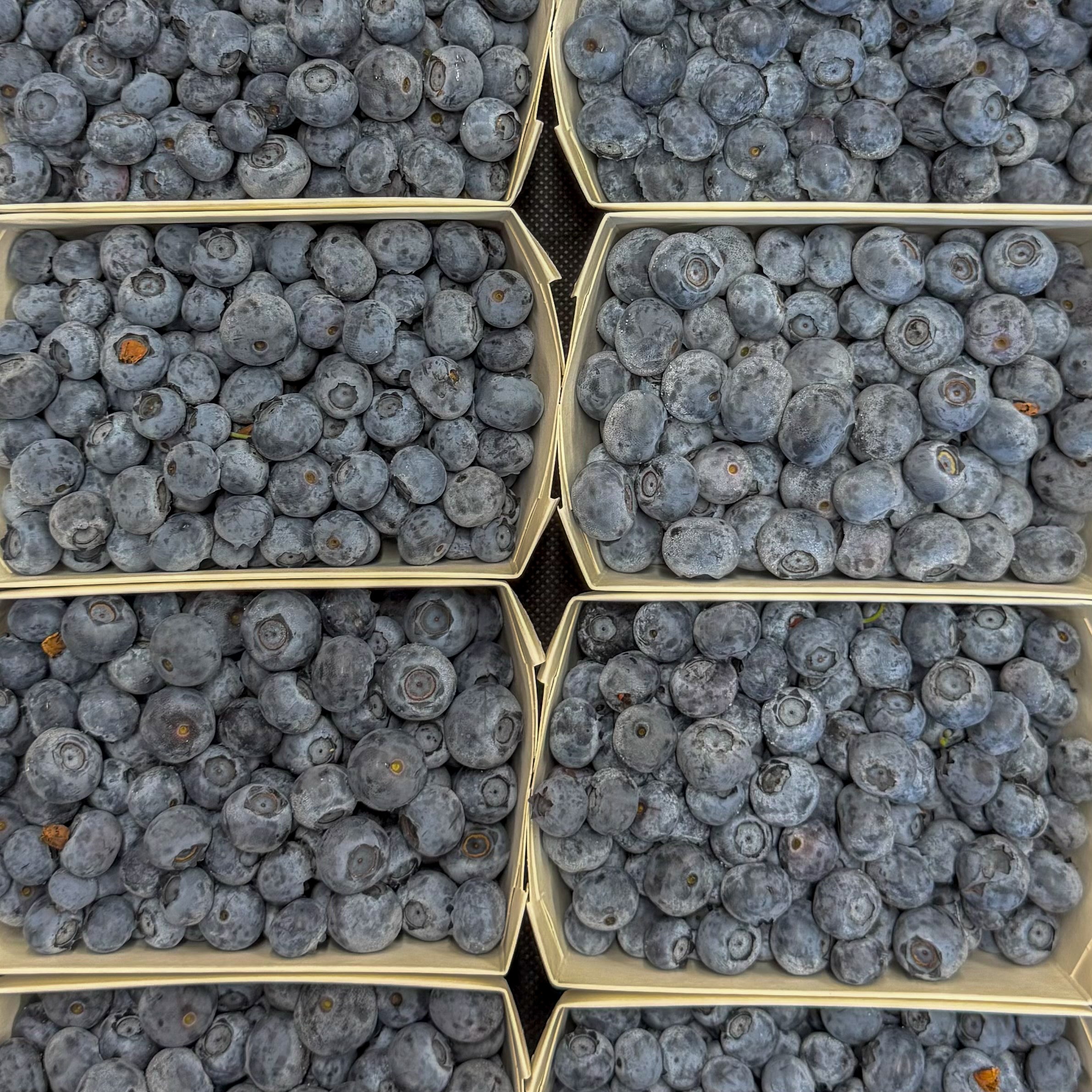 Heidelbeeren