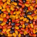 Cherrytomaten mix