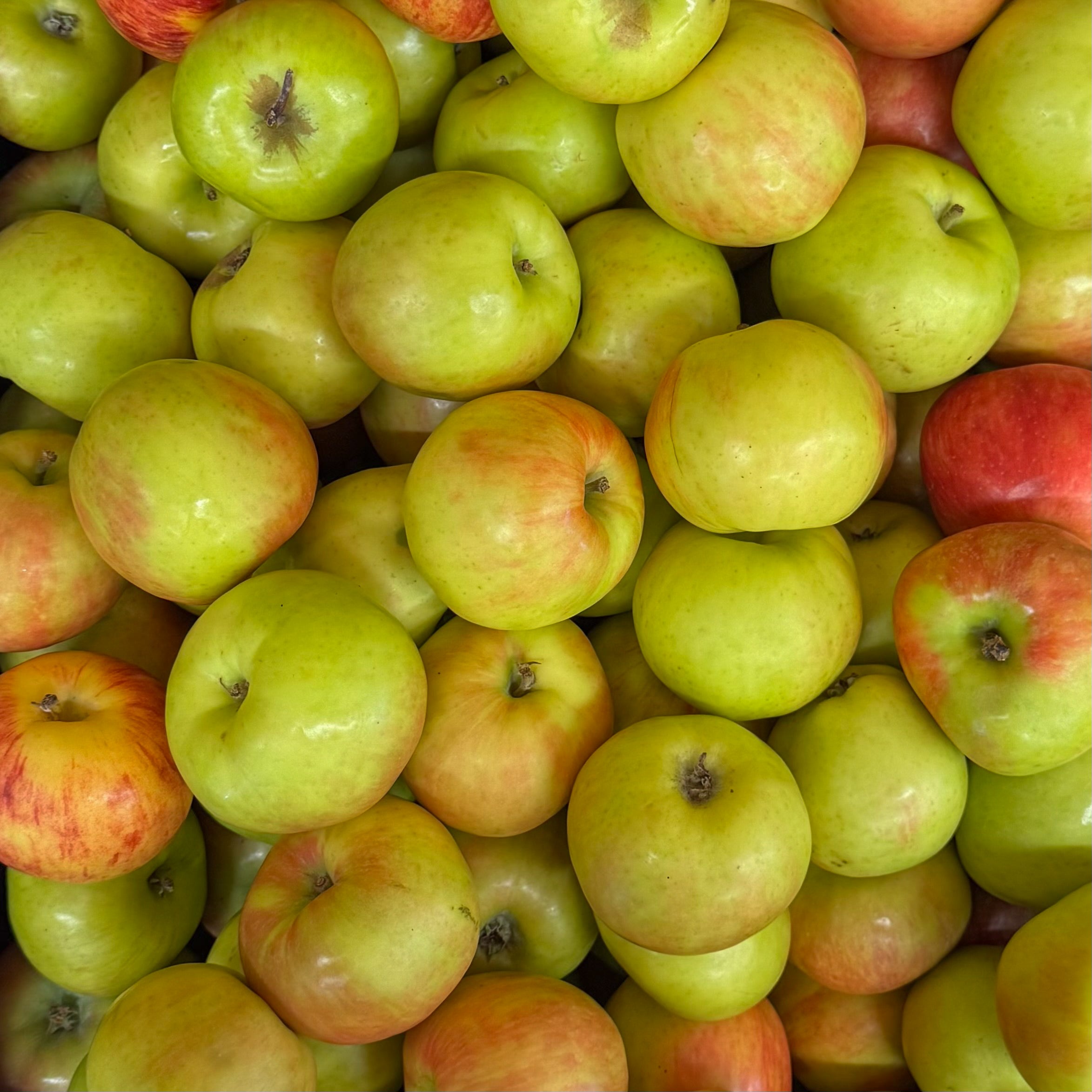 Gravensteiner Apfel