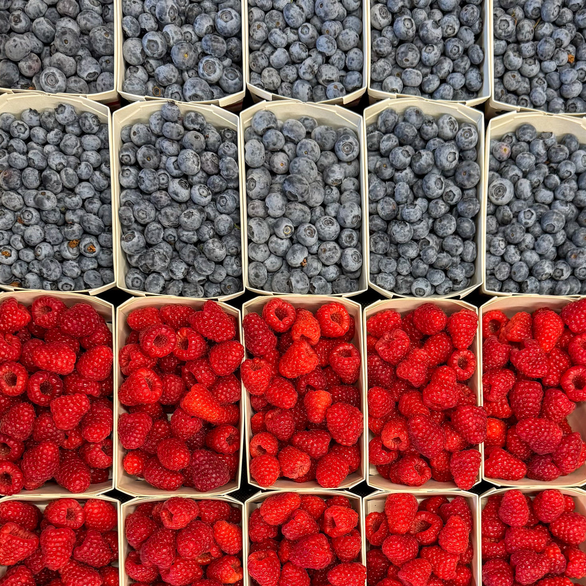 Beeren