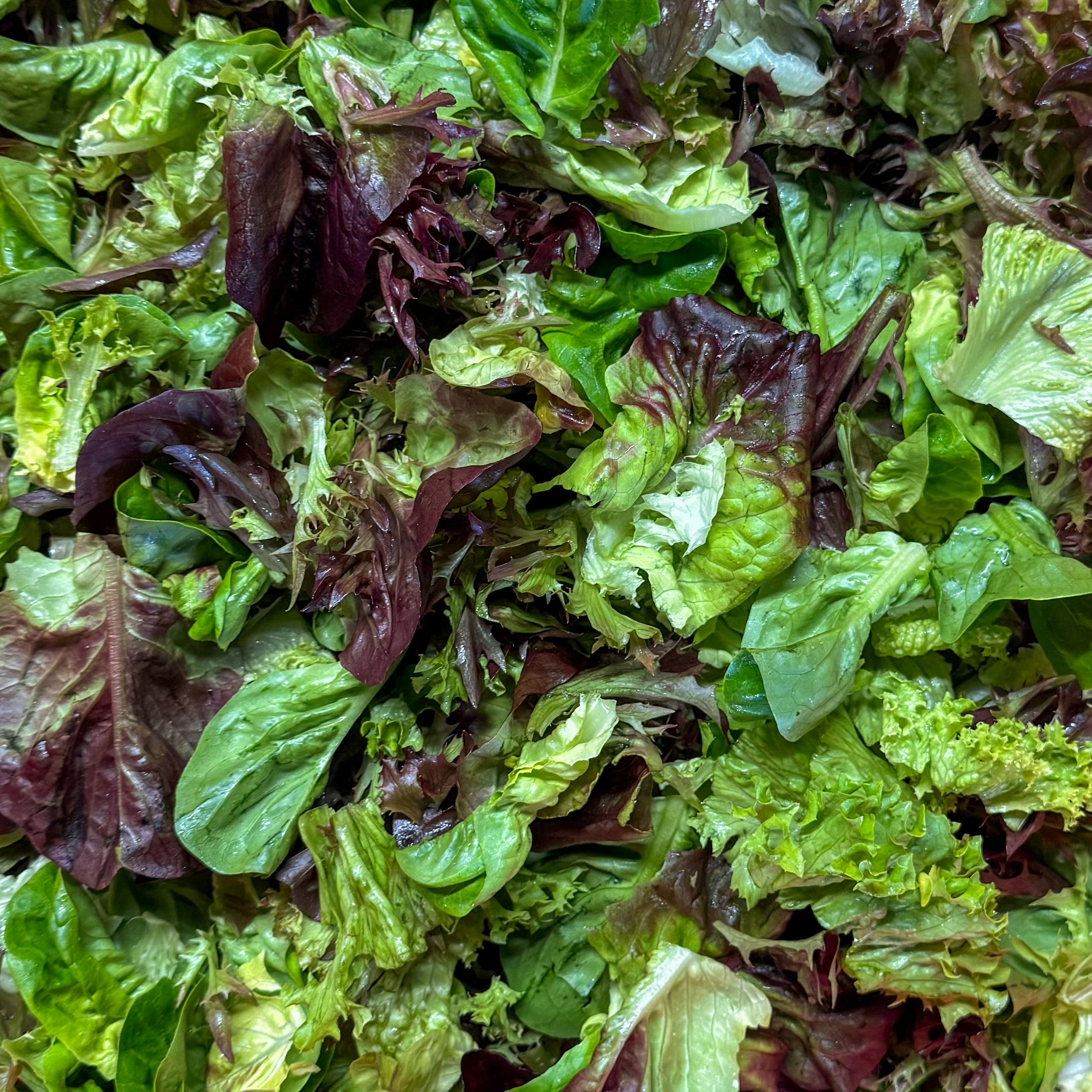 Blattsalat Mischung