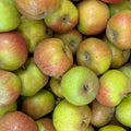Boskoop Apfel