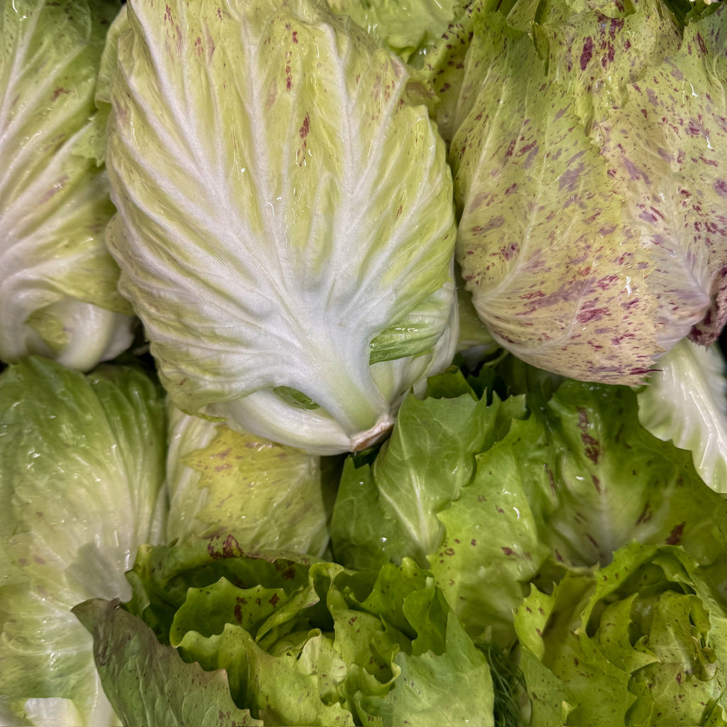 Castelfranco Salat