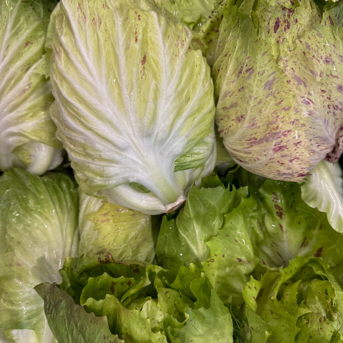 Castelfranco Salat