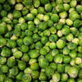 Rosenkohl