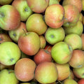 Rubinette Apfel