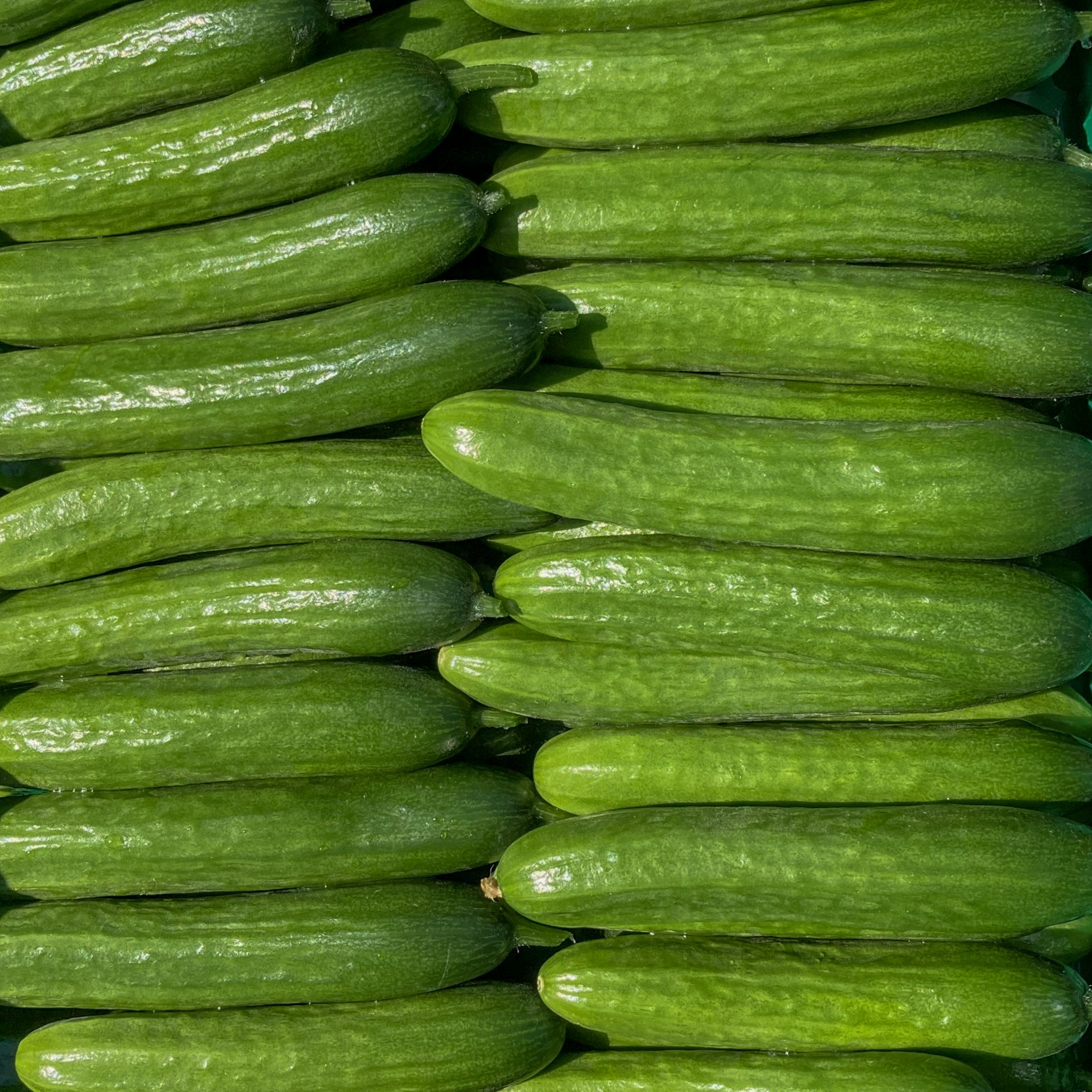 Snackgurke