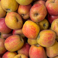 Boskoop Apfel