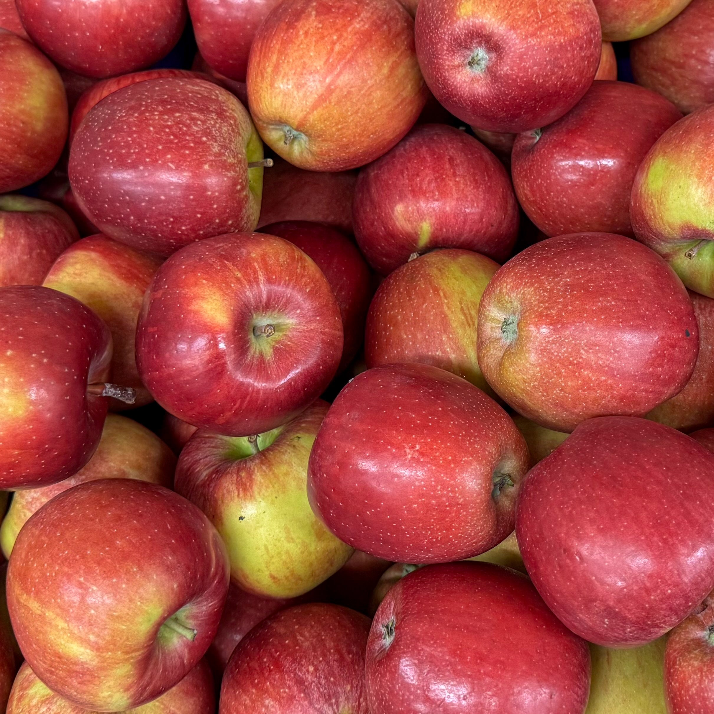 Braeburn Apfel