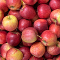 Gala Apfel