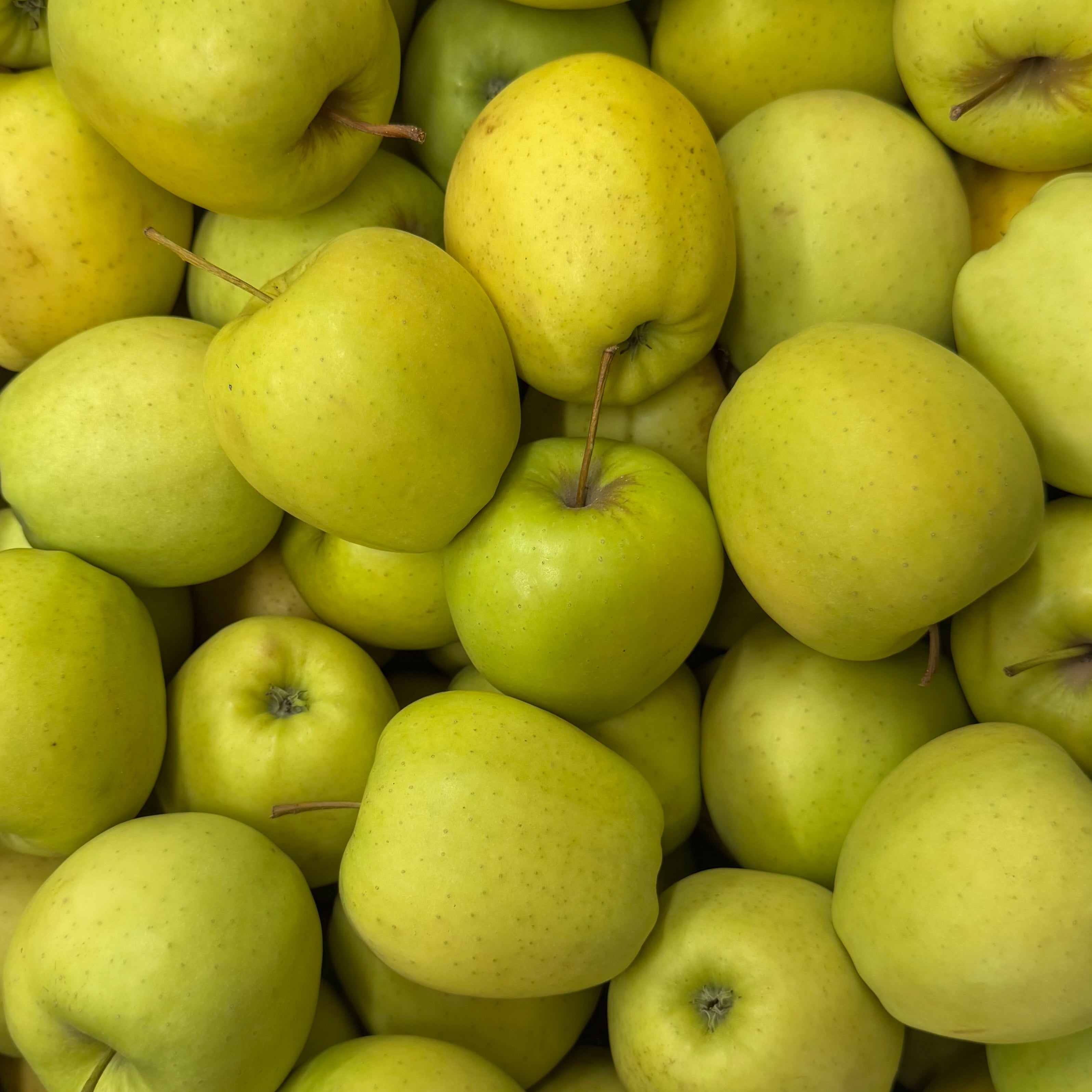 Golden Apfel