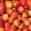 Jazz Apfel