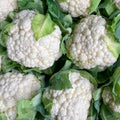 Blumenkohl