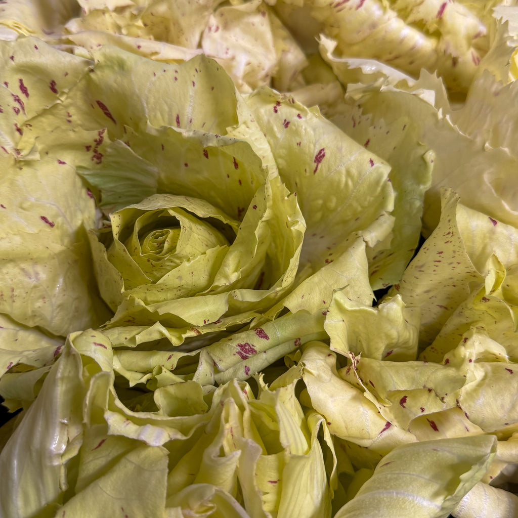Castelfranco Salat