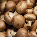 Champignons