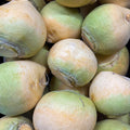 Bodenkohlrabi