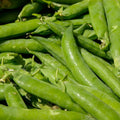 Erbsen