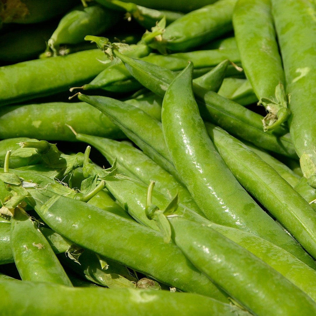 Erbsen
