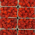 Himbeeren