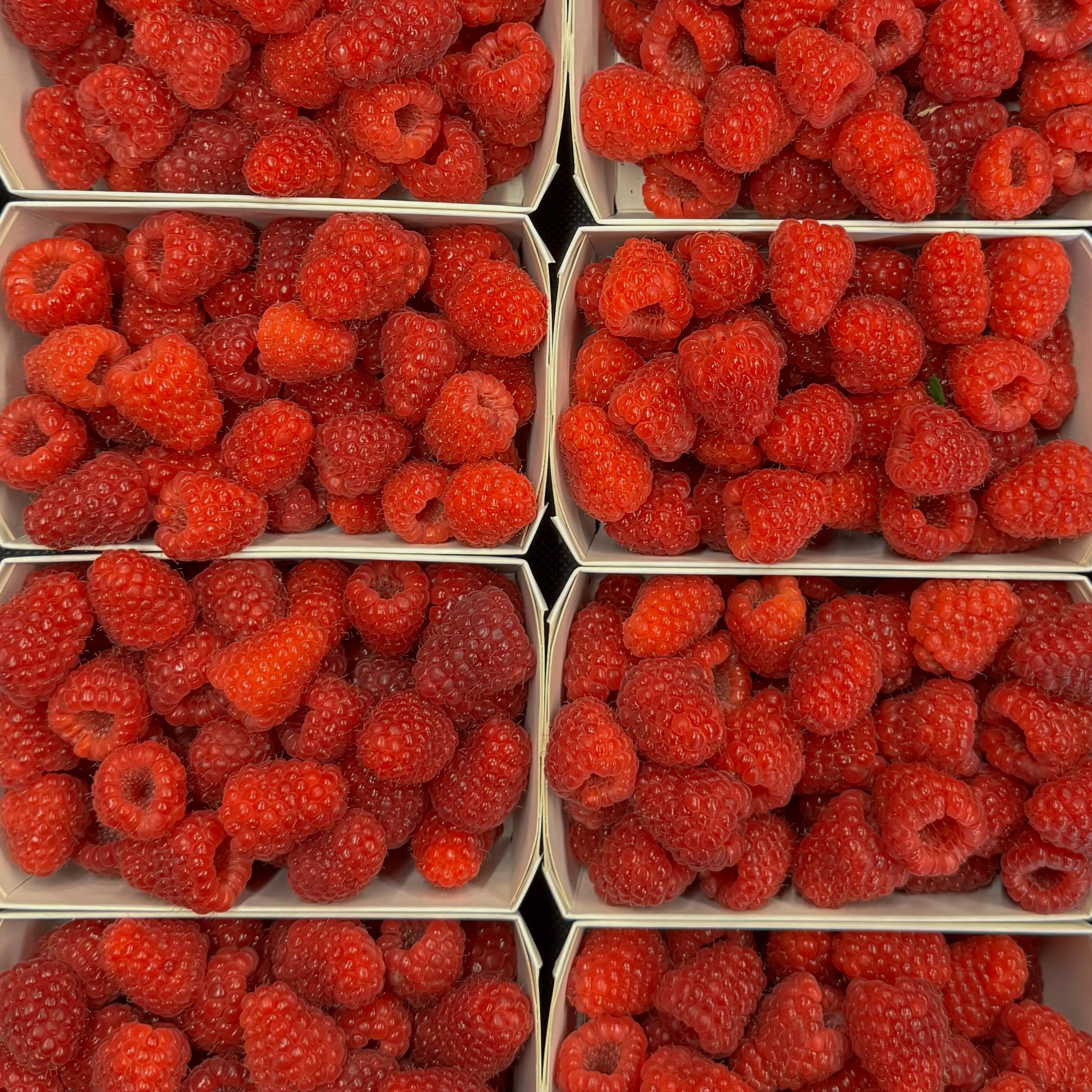Himbeeren