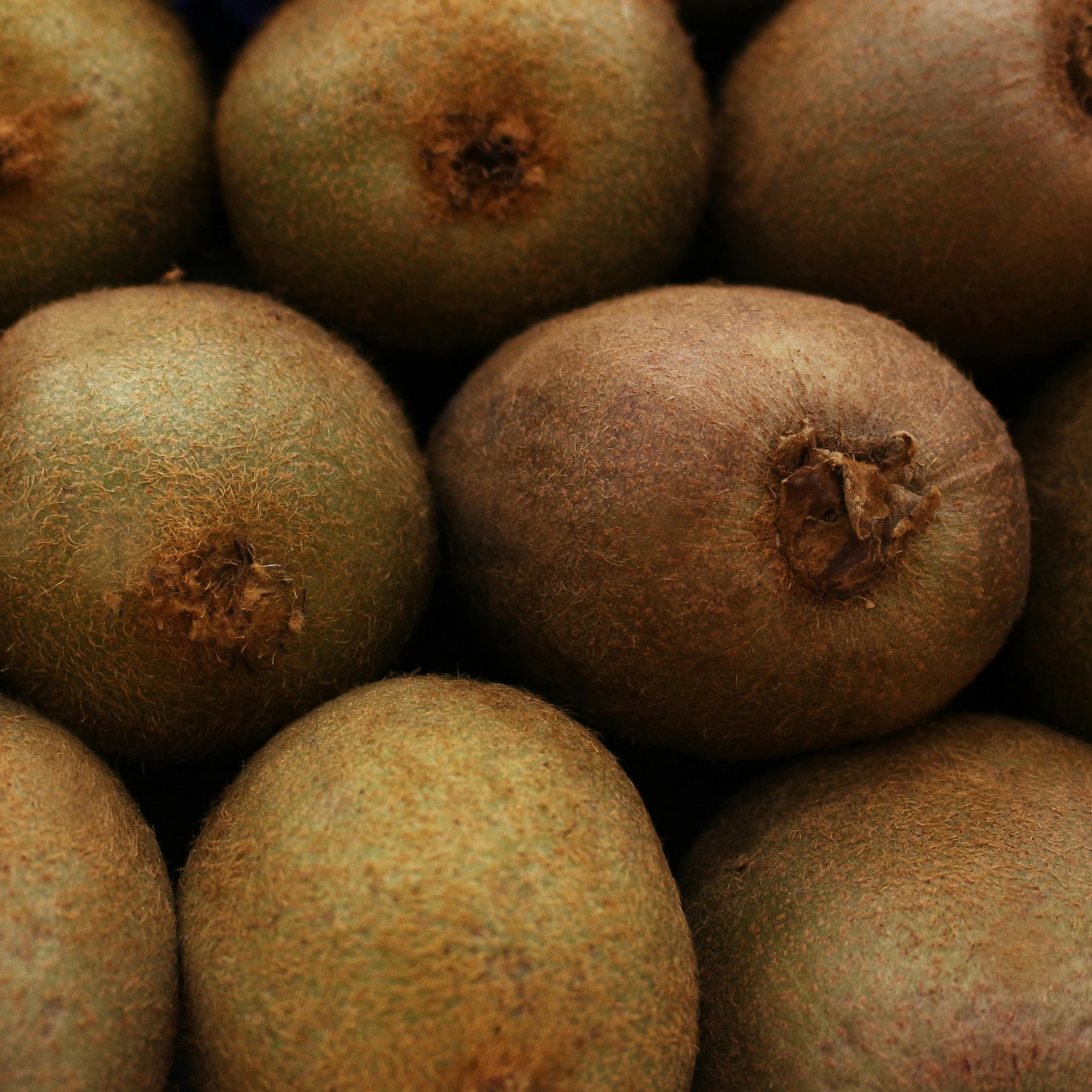 Kiwi