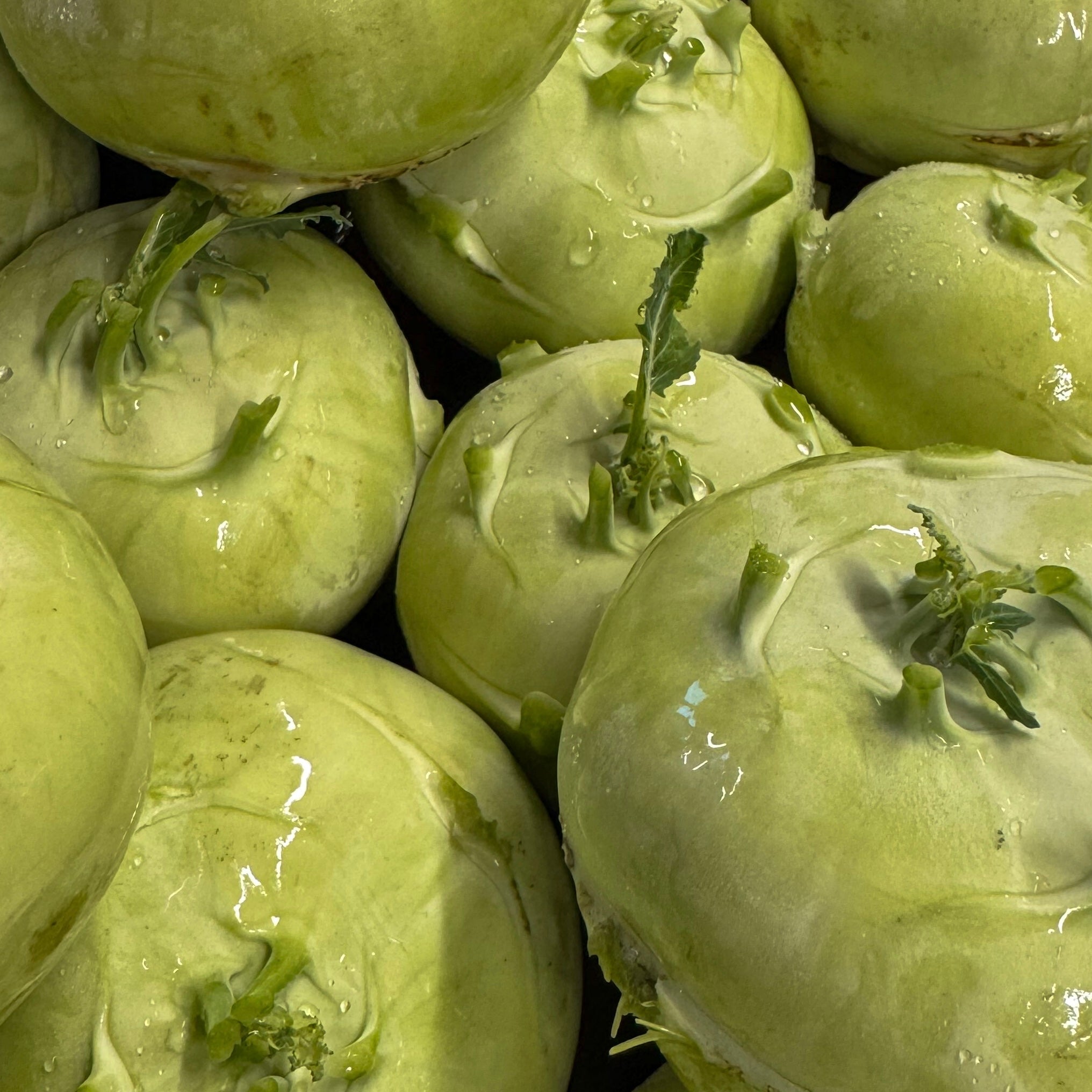 Kohlrabi