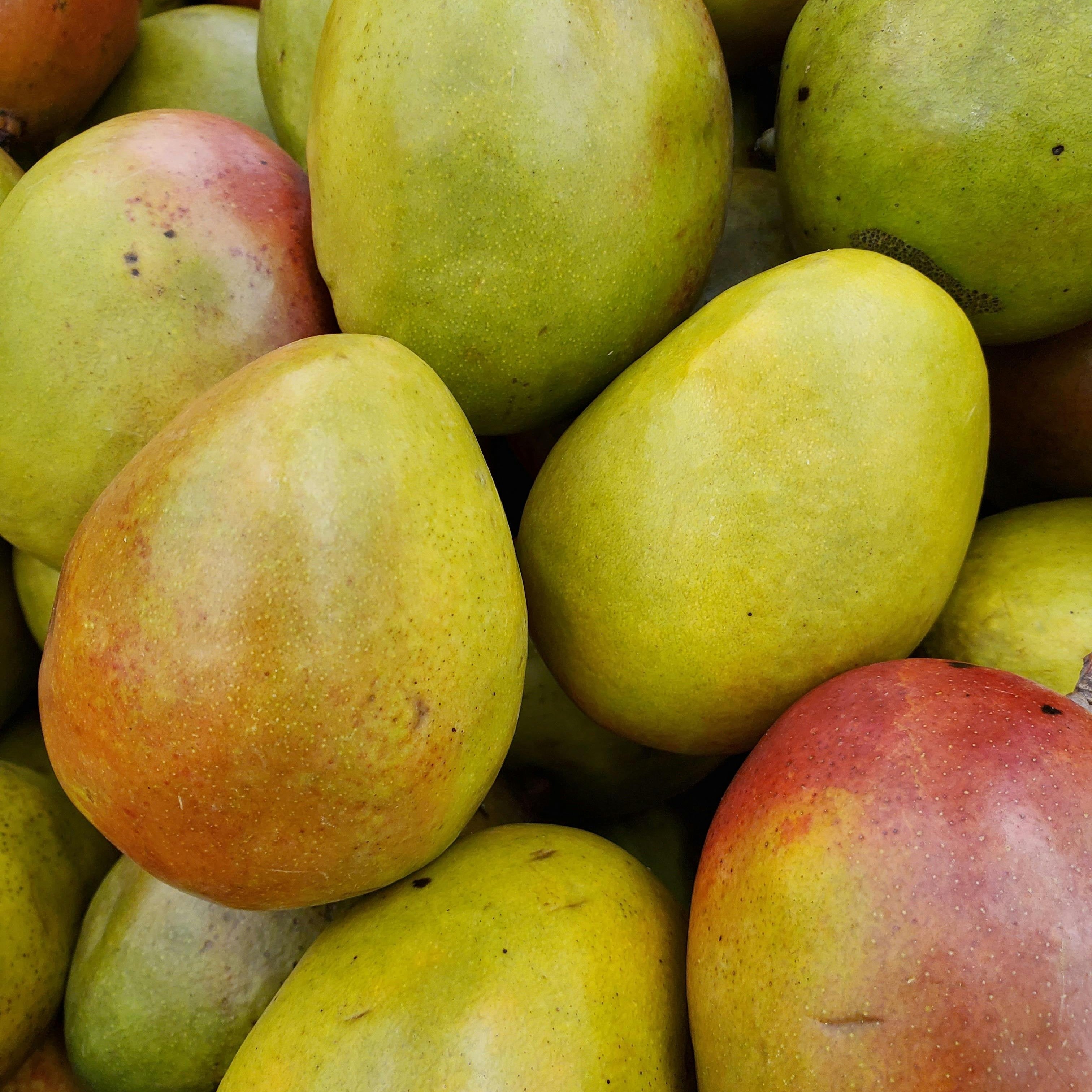 Mango