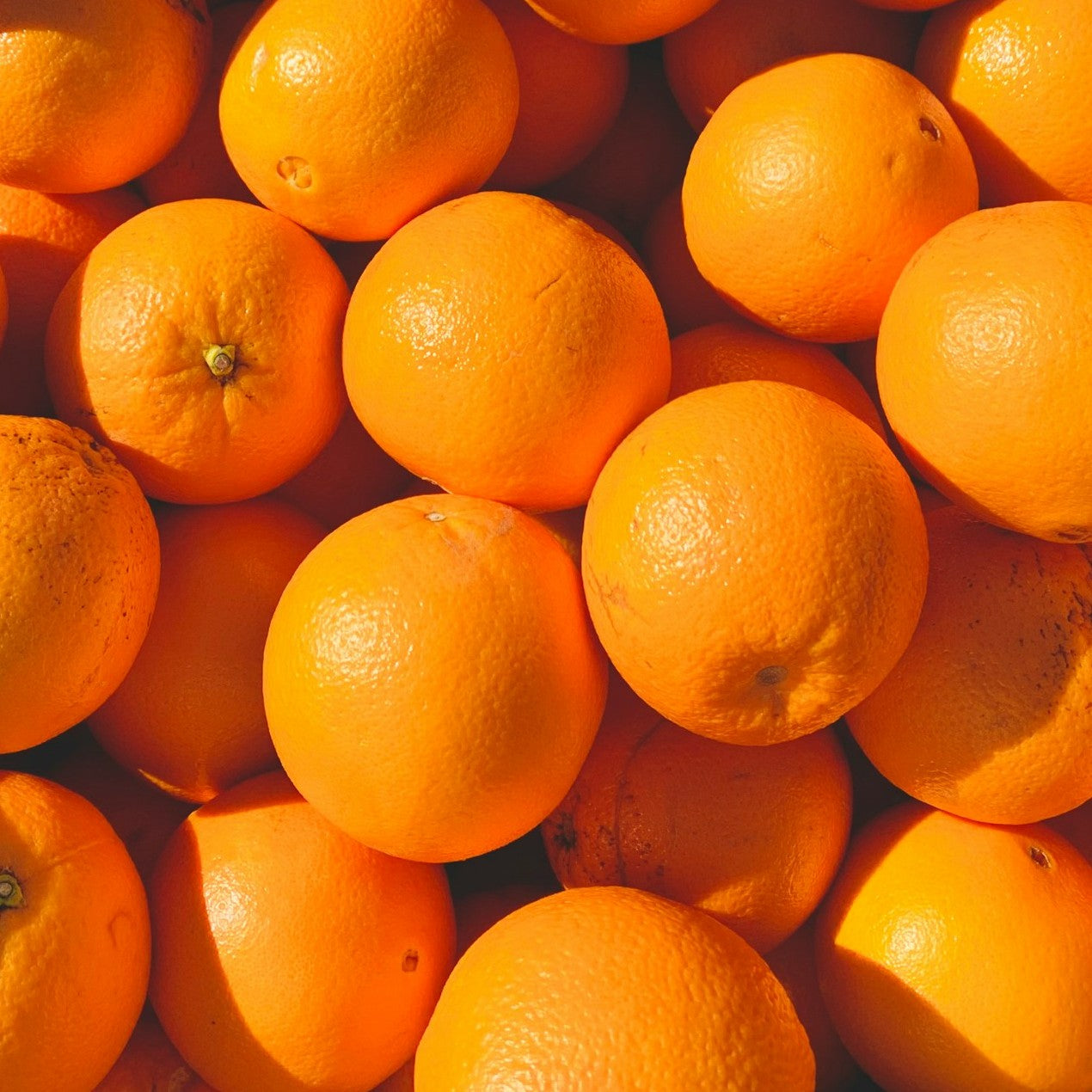 Orange blond