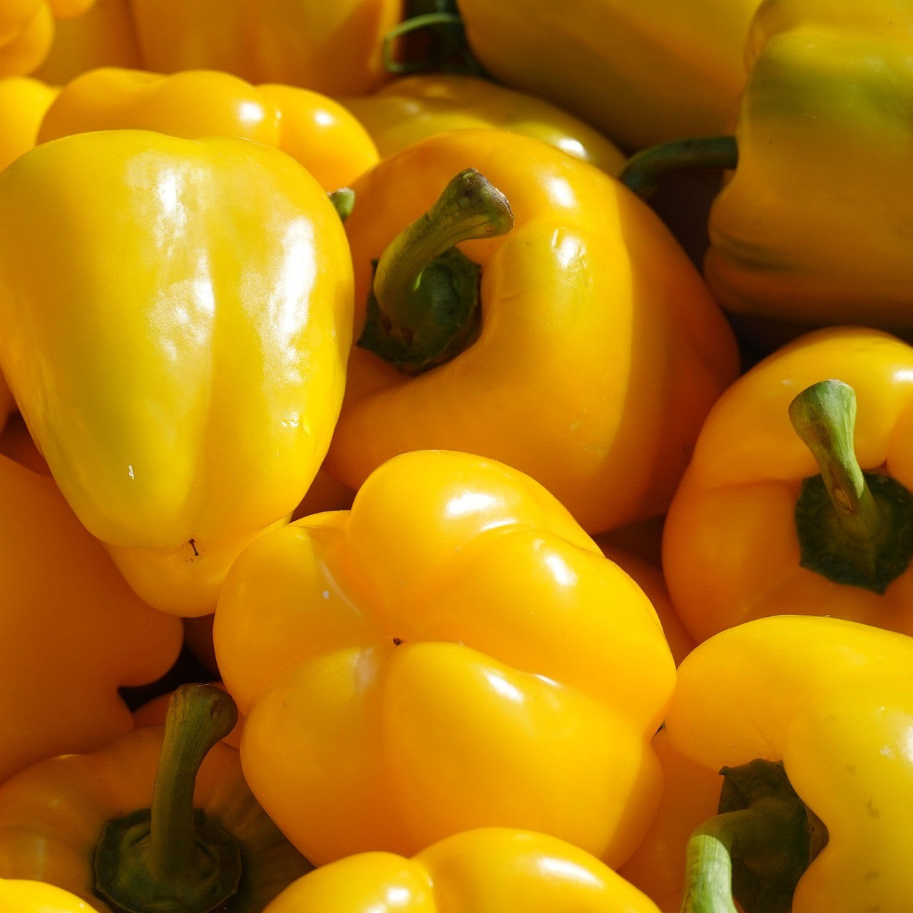 Peperoni