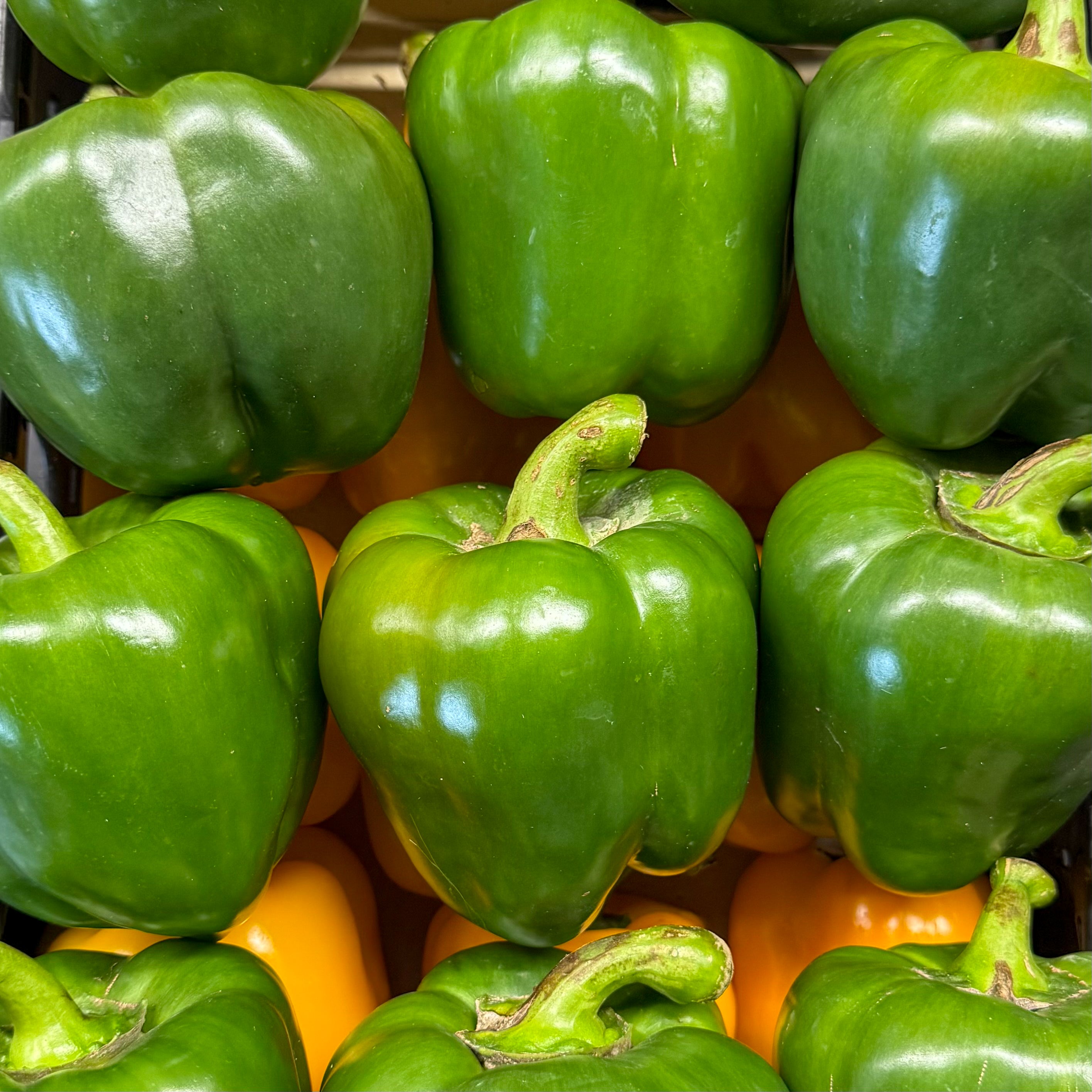 Peperoni