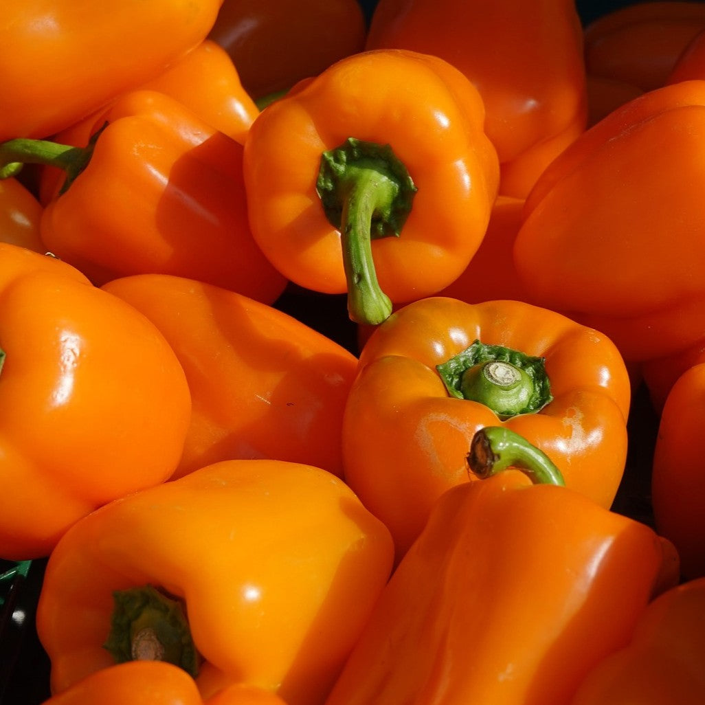 Peperoni