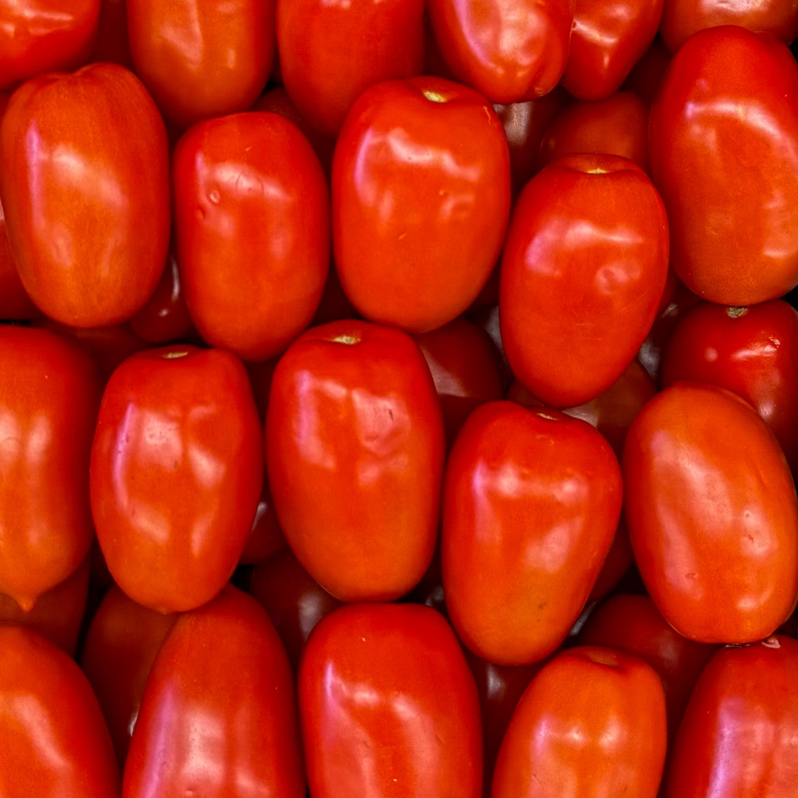 Tomaten Marzano