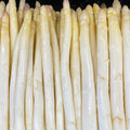Spargel weiss Seeland
