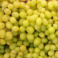 Trauben