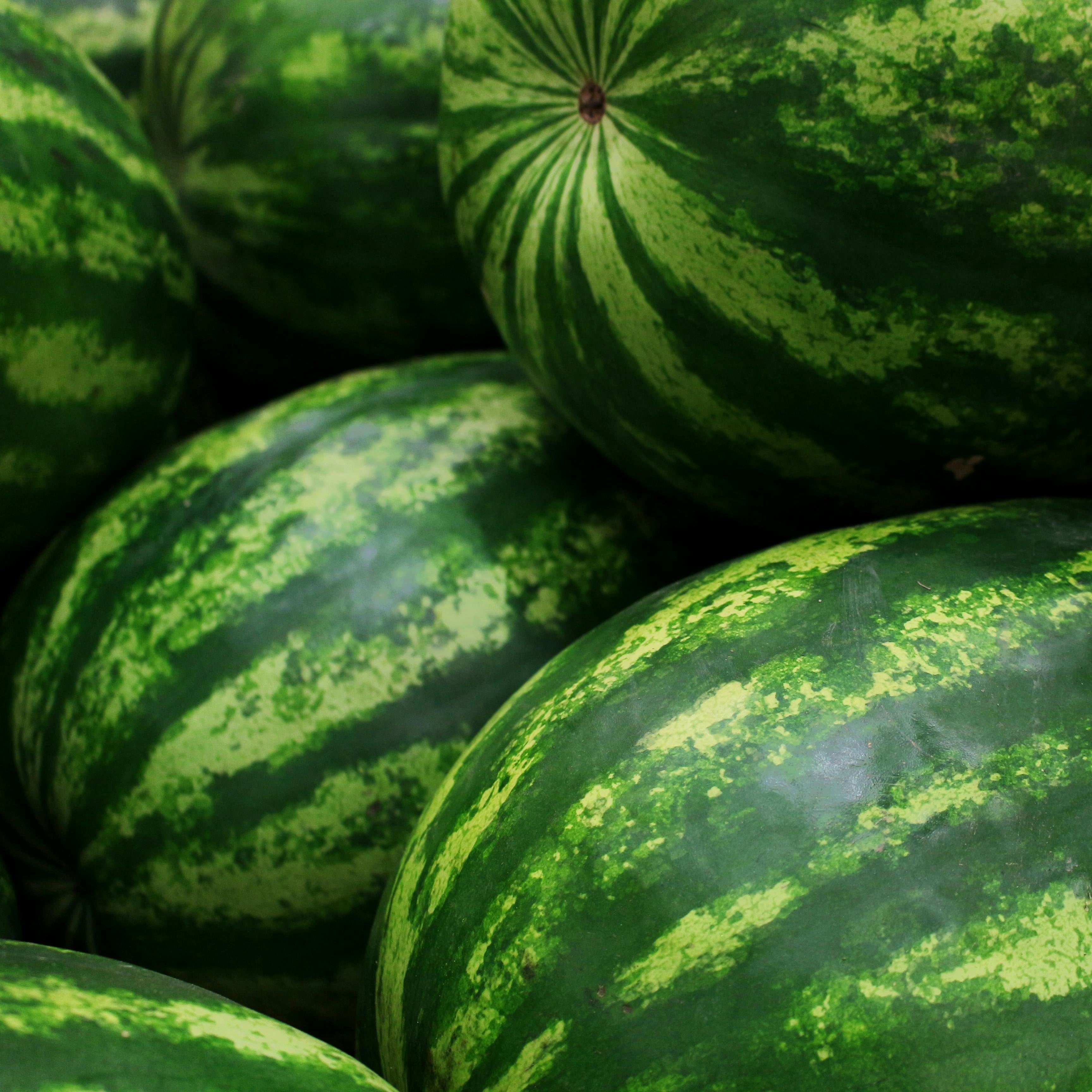 Wassermelone Seeland