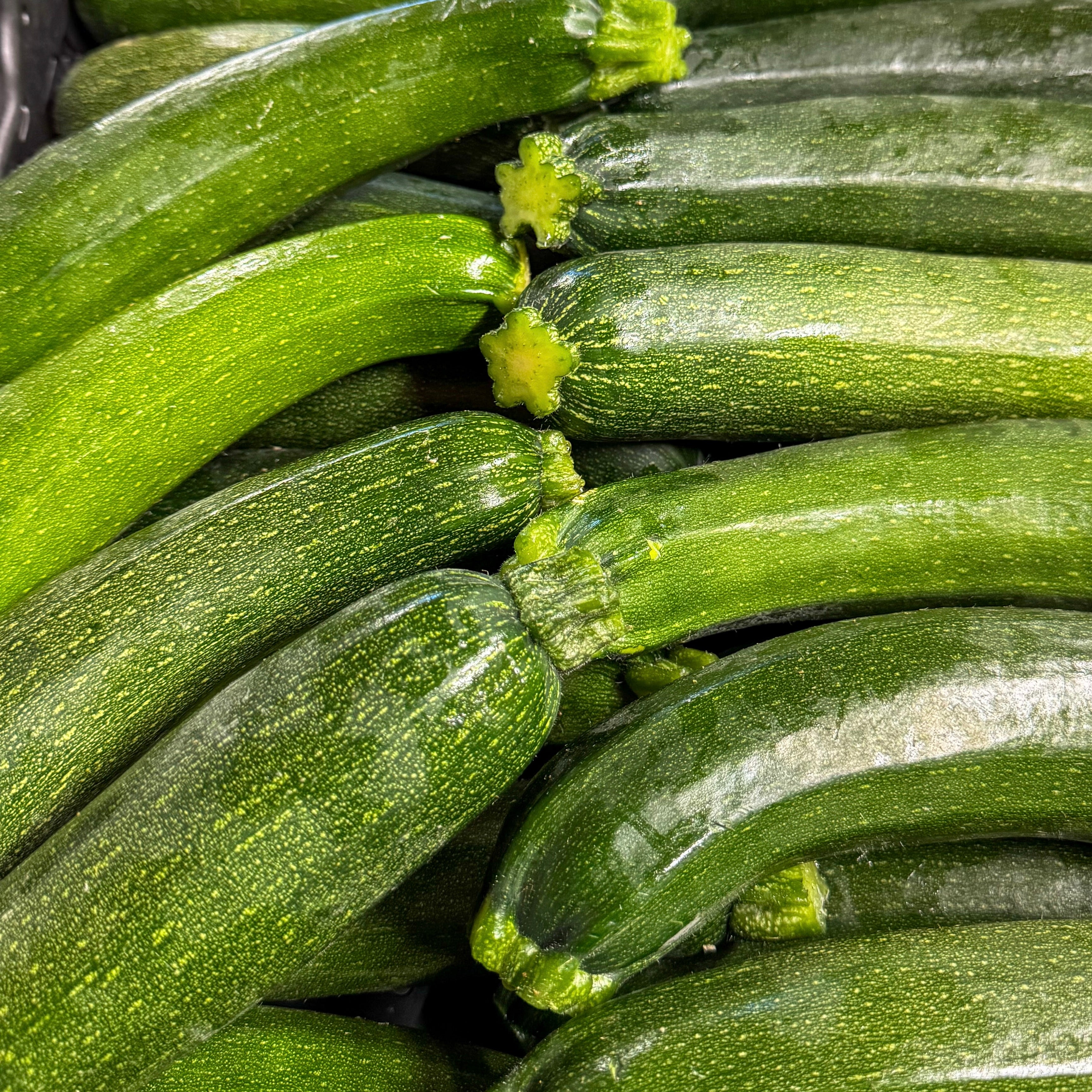 Zucchetti