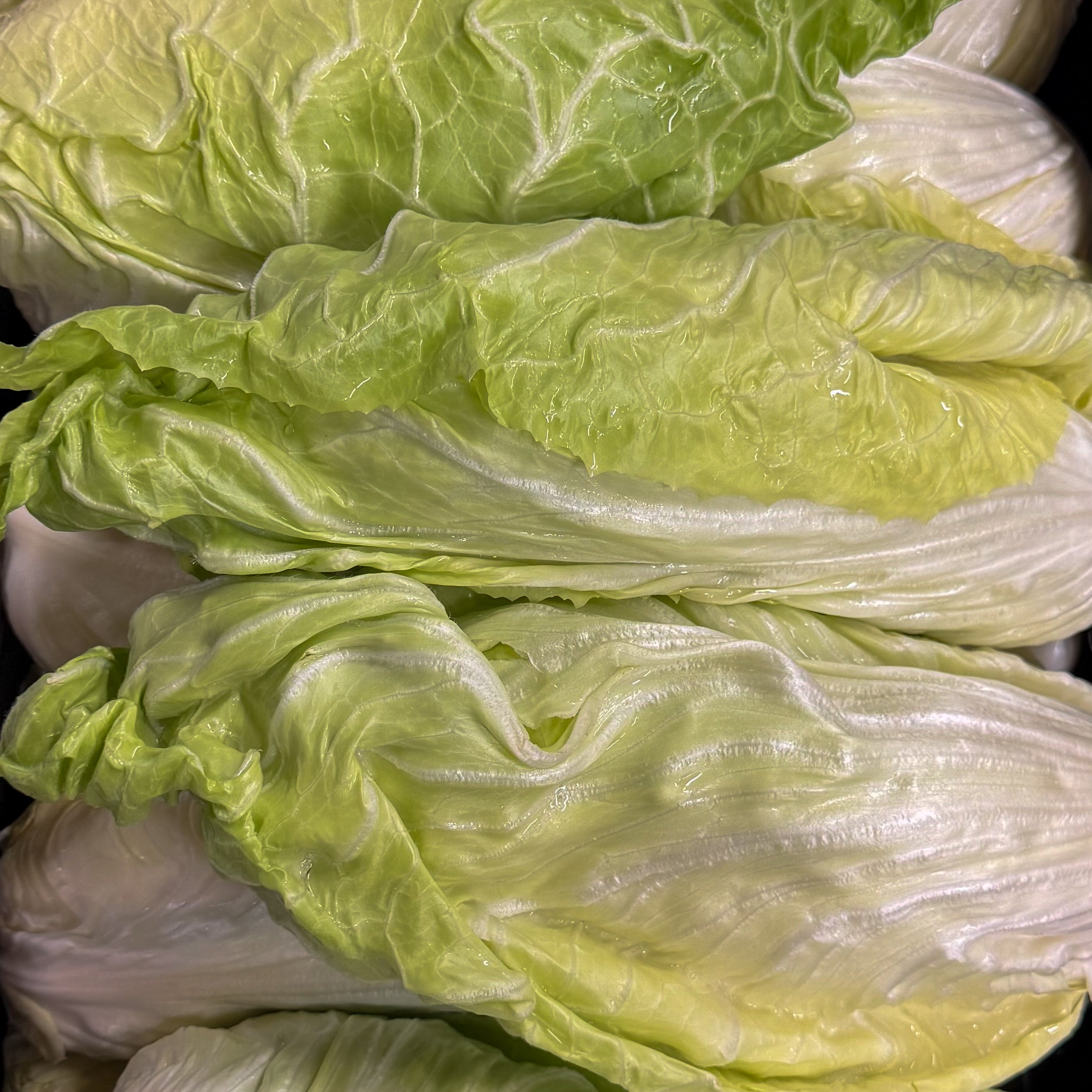 Zuckerhut Salat