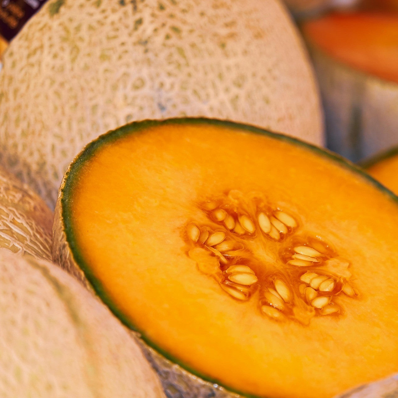 Zuckermelone