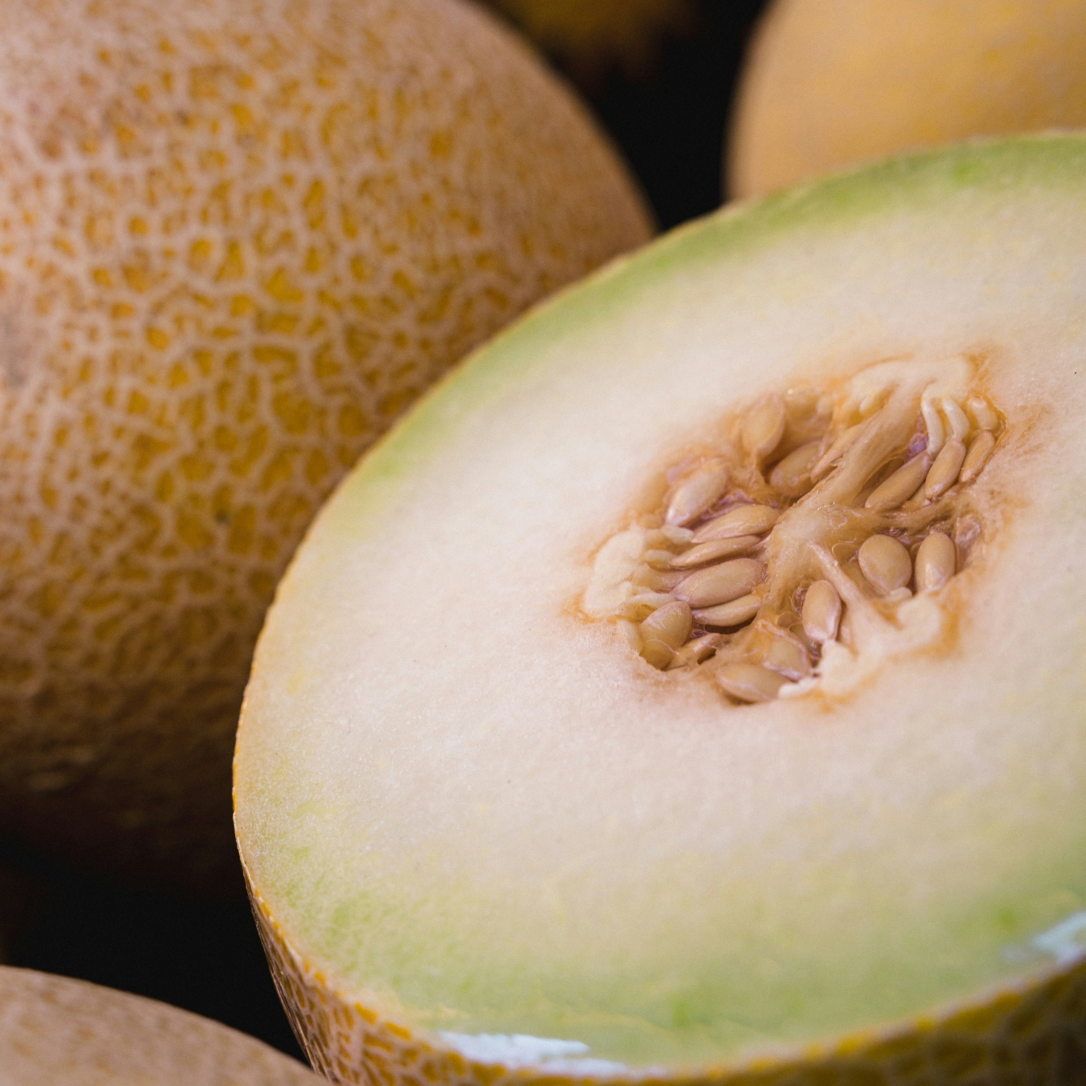 Zuckermelone